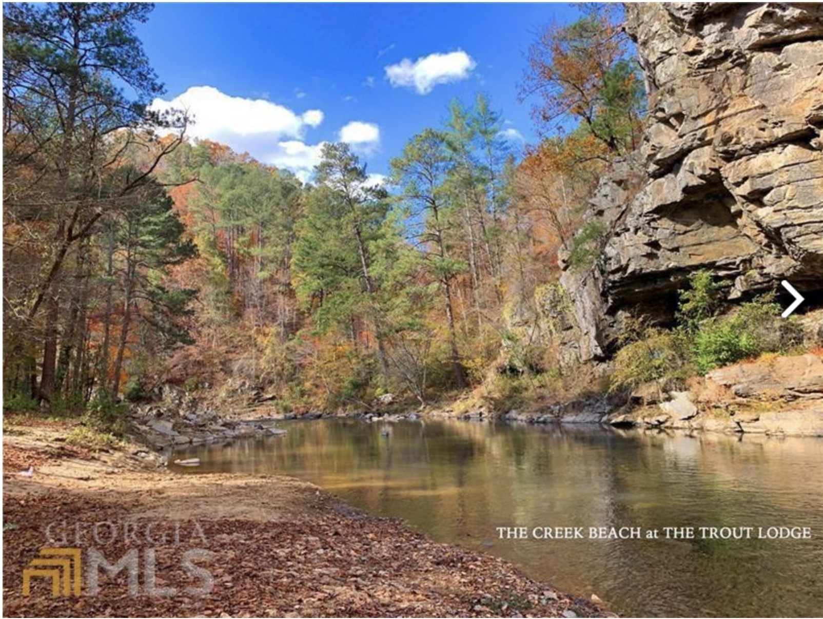 1510 Drew Court Ranger, GA 30734 - Photo 27 of 31 a view of a lake with houses
