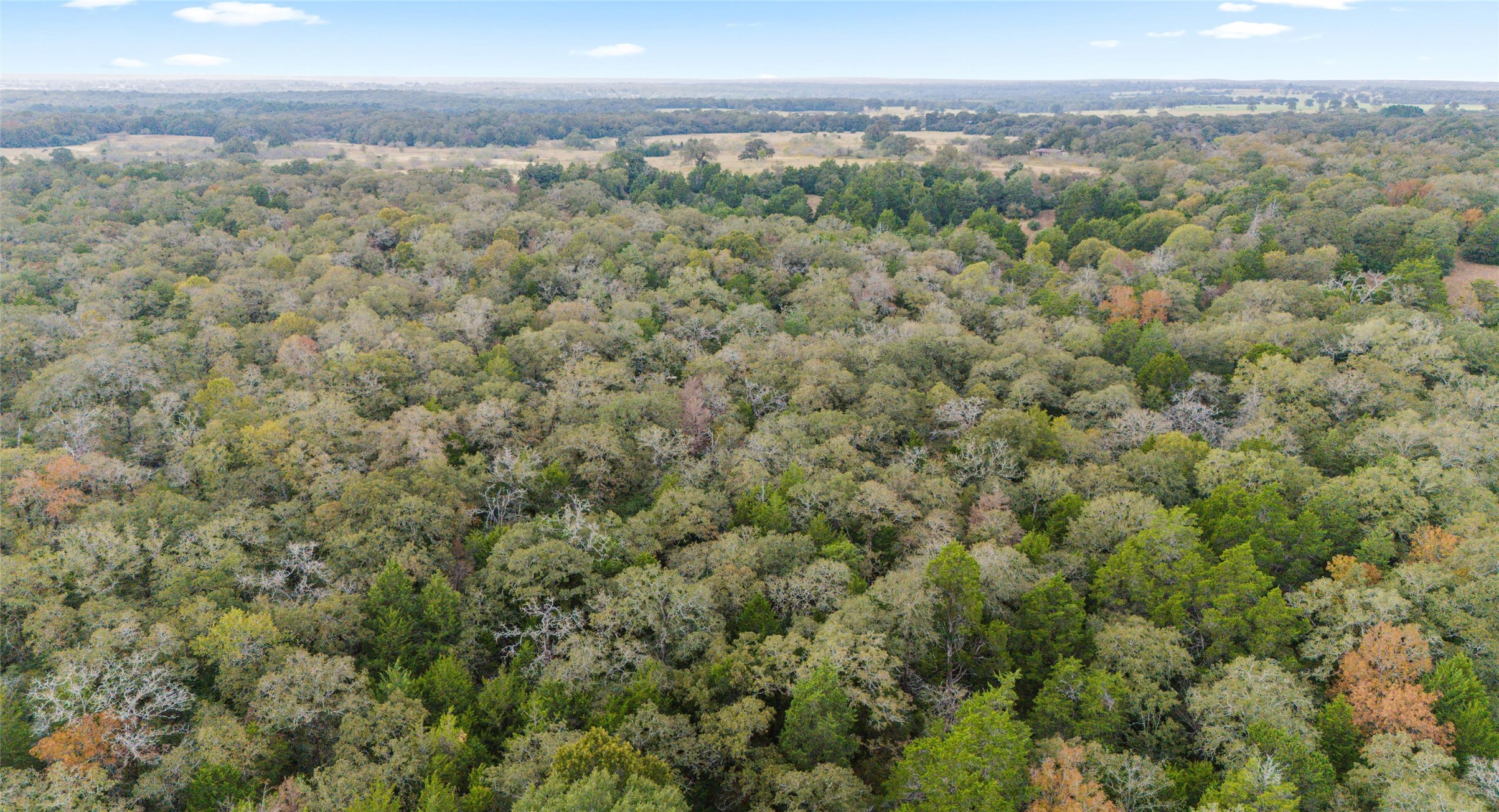 Tbd North County Road East, Unit 415 Lexington, TX 78947 - Photo 4 of 14