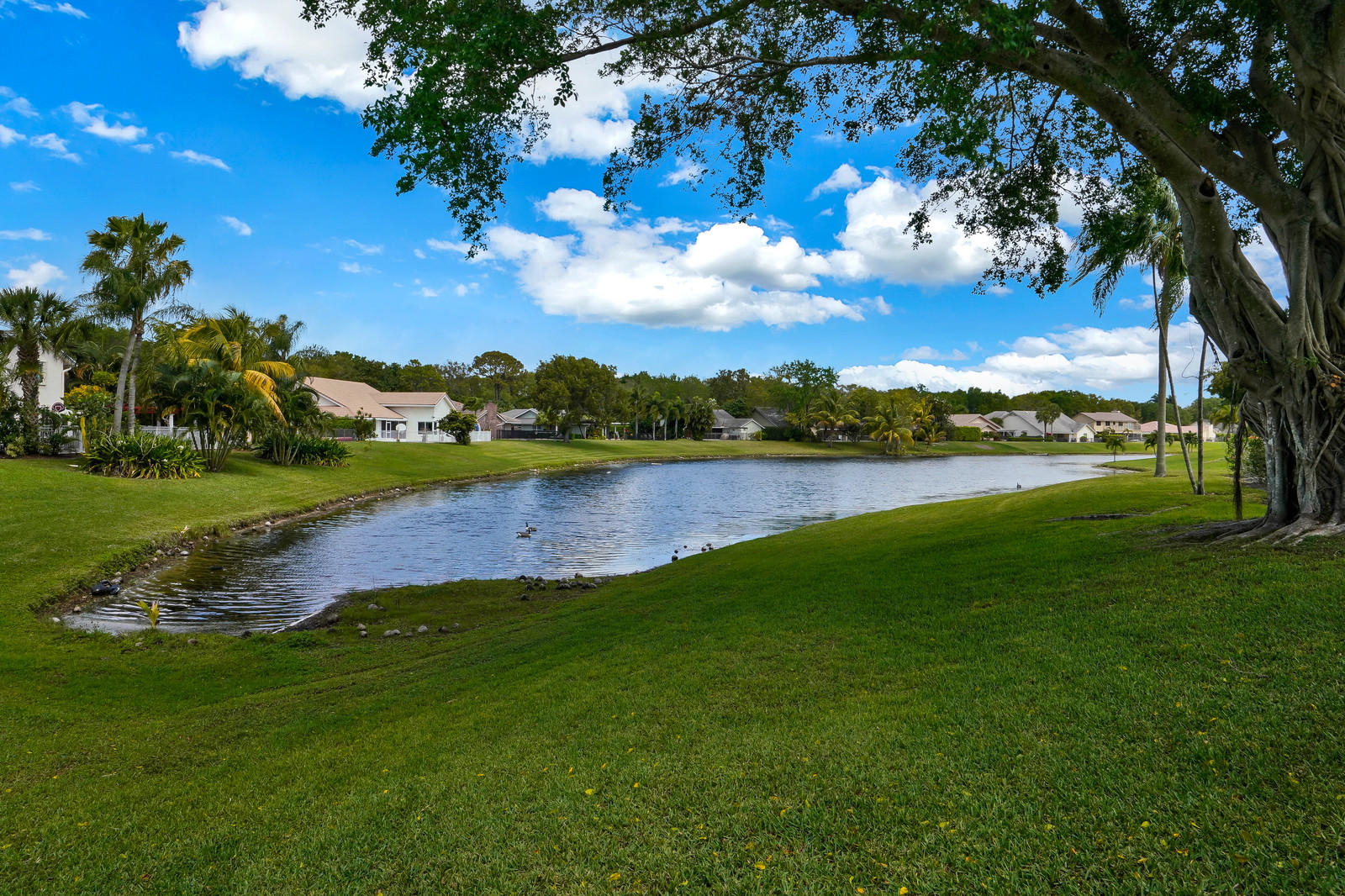2391 Northwest 38th Street Boca Raton, FL 33431 - Photo 34 of 47 LAKE VIEW FROM BACK OF PROPERTY