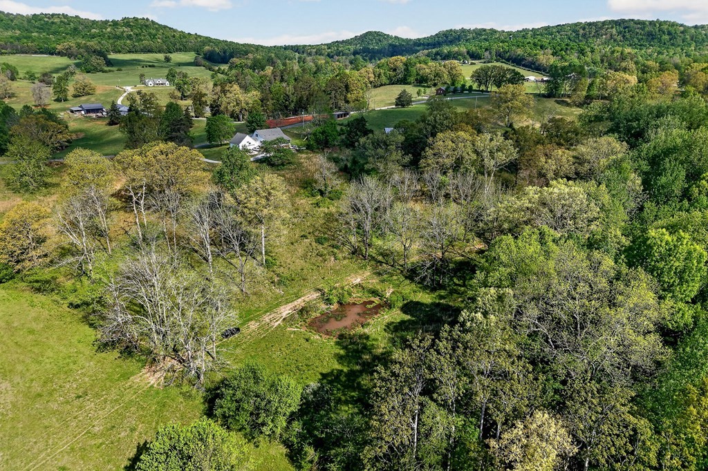 515 Jericho Road Quebeck, TN 38579 - Photo 24 of 60
