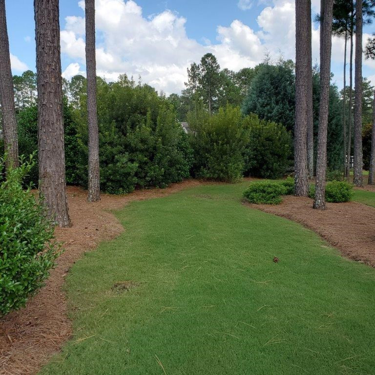 111 Pinyon Pine Loop Aiken, SC 29803 - Photo 37 of 44