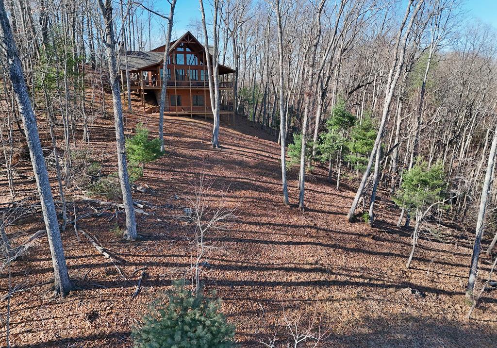 731 Native Trail Cherry Log, GA 30522 - Photo 16 of 54 a view of house with large windows and a yard
