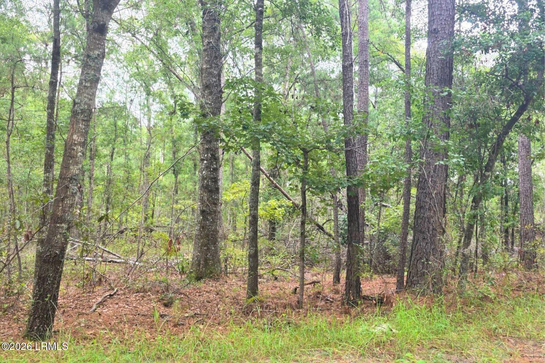0 Wade Hampton Road Hampton, SC 29924 - Photo 7 of 16 7
