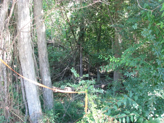 a view of a garden from a balcony