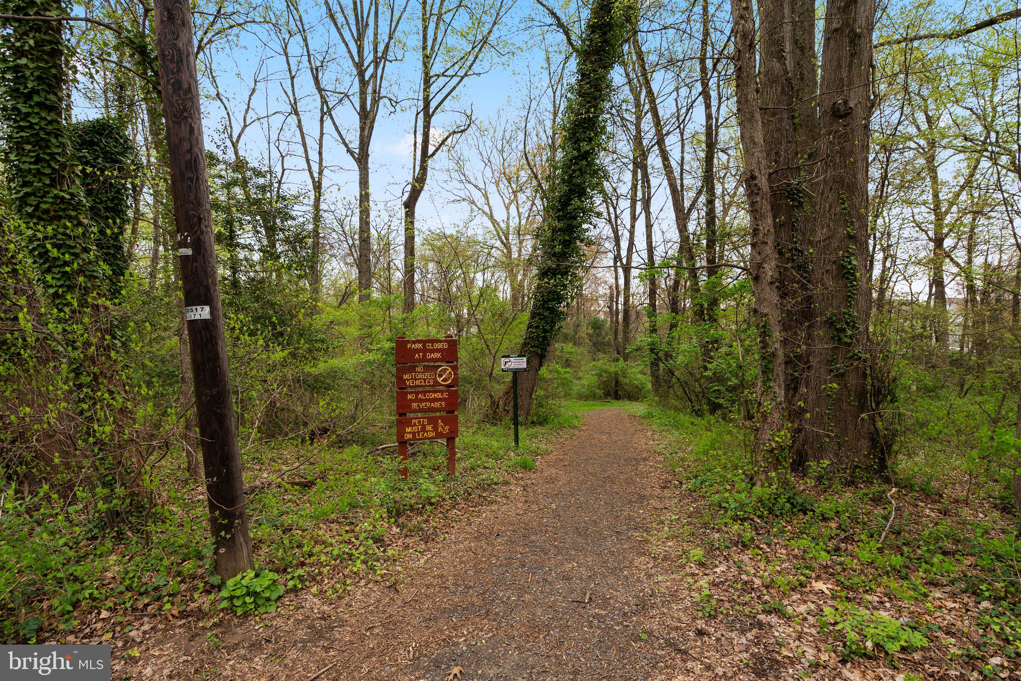 2924 Hunter Road Fairfax, VA 22031 - Photo 57 of 79 a view of a forest filled with trees