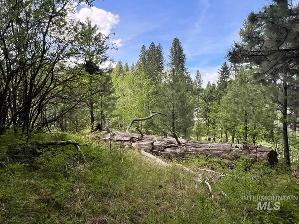$137,900 | T75-li Cabarton Road, Cascade, ID 83611