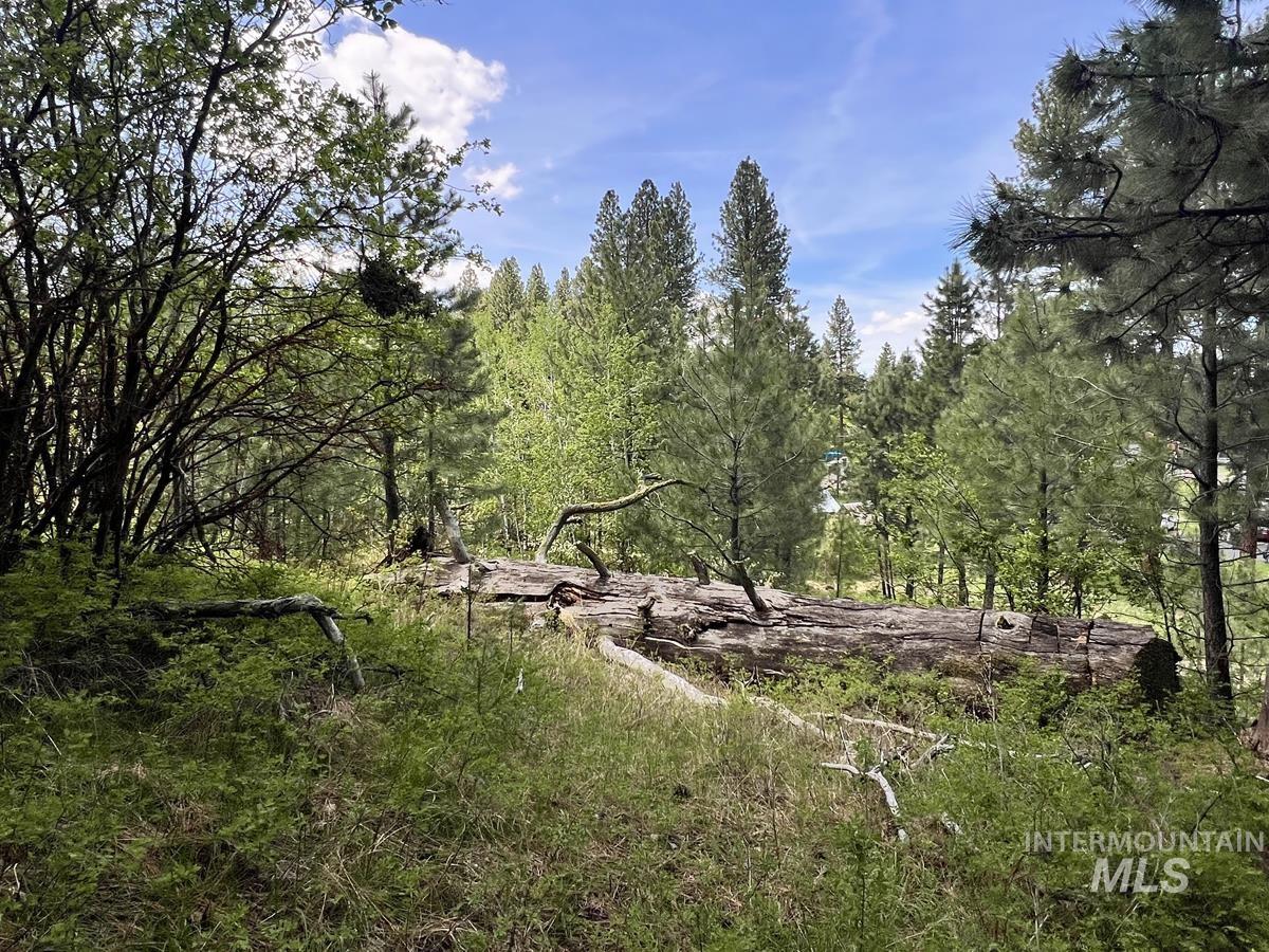 T75-li Cabarton Road Cascade, ID 83611 - Photo 1 of 15