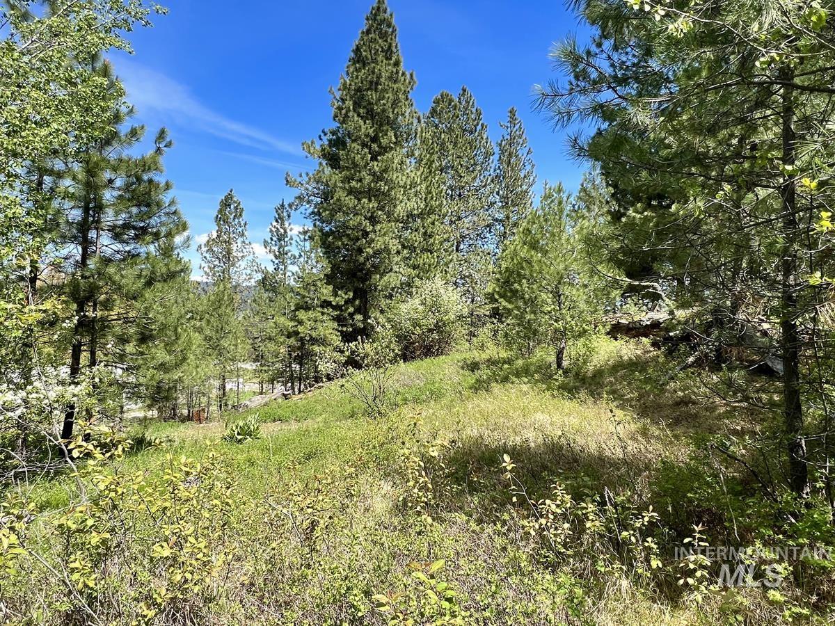 T75-li Cabarton Road Cascade, ID 83611 - Photo 7 of 15