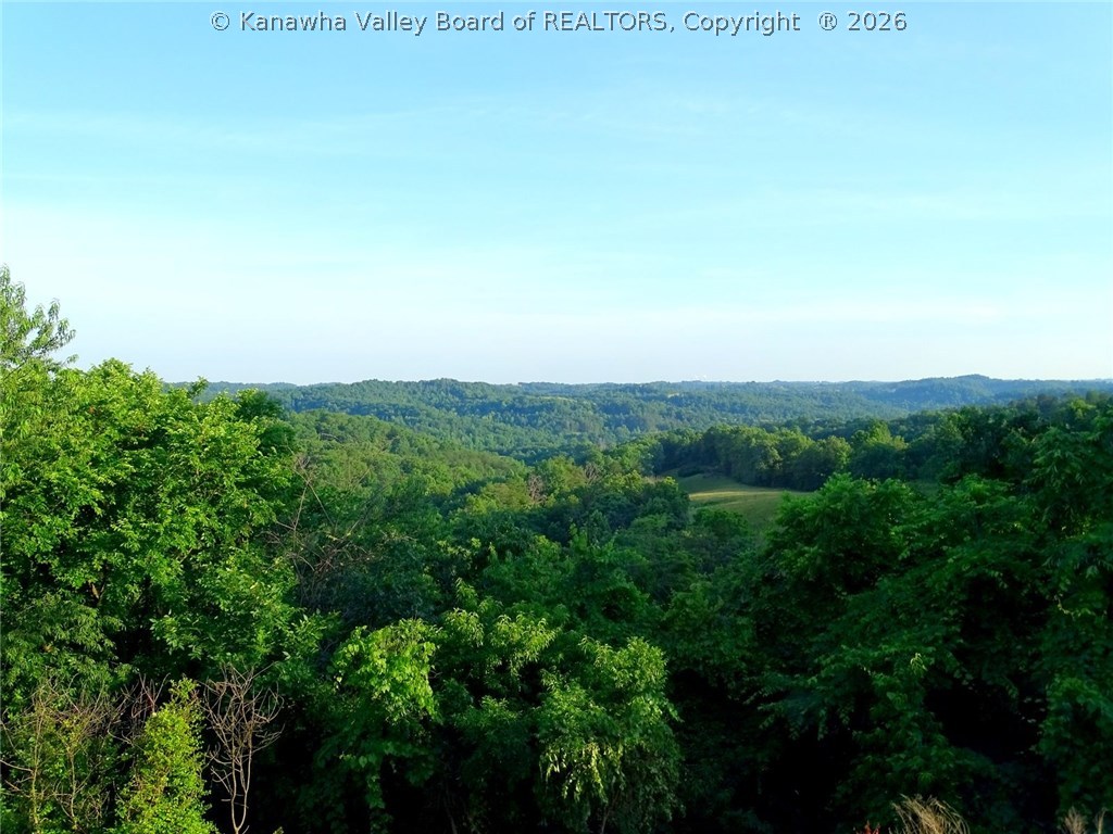 1007 Riffee Ridge Given, WV 25245 - Photo 6 of 30 Gallery Image 6
