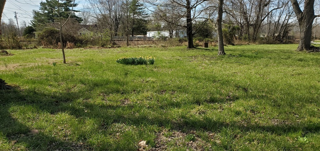 11495 North Brownsville Road Mount Vernon, IL 62864 - Photo 19 of 21