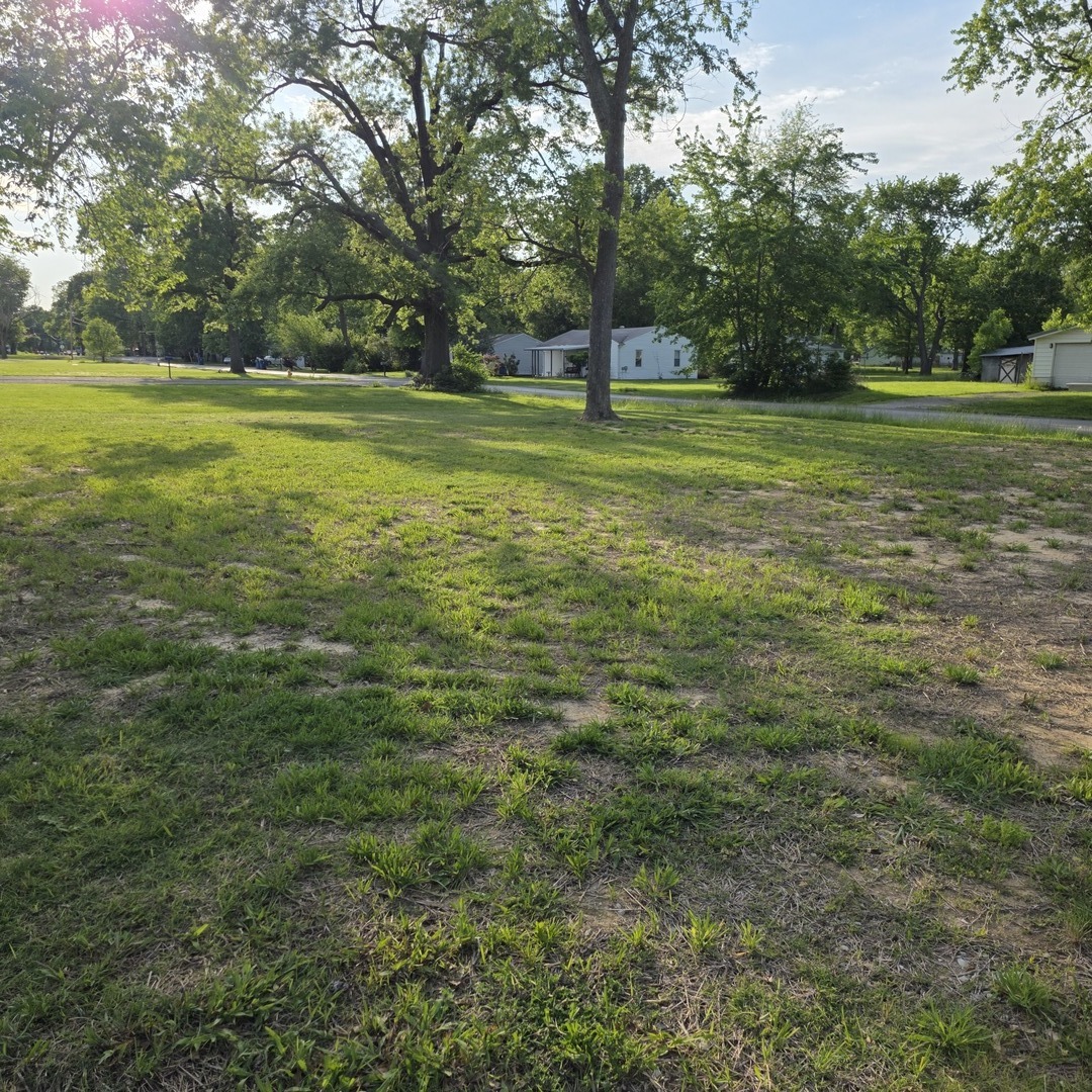 11495 North Brownsville Road Mount Vernon, IL 62864 - Photo 2 of 21