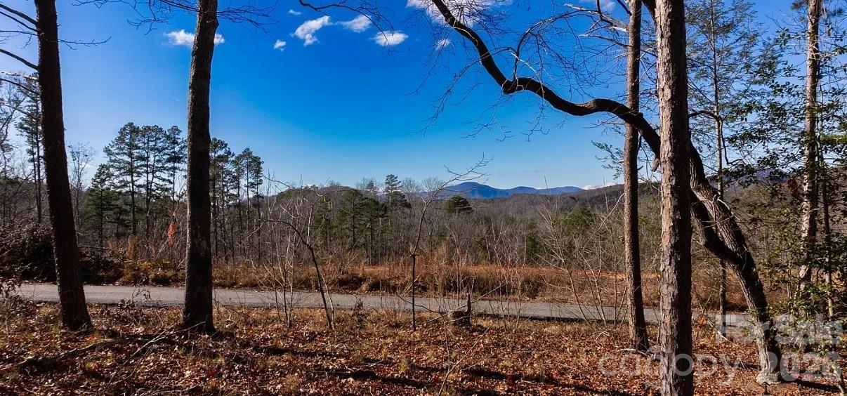 49 Shady Bark Lane Rutherfordton, NC 28139 - Photo 6 of 6 a view of a outdoor space