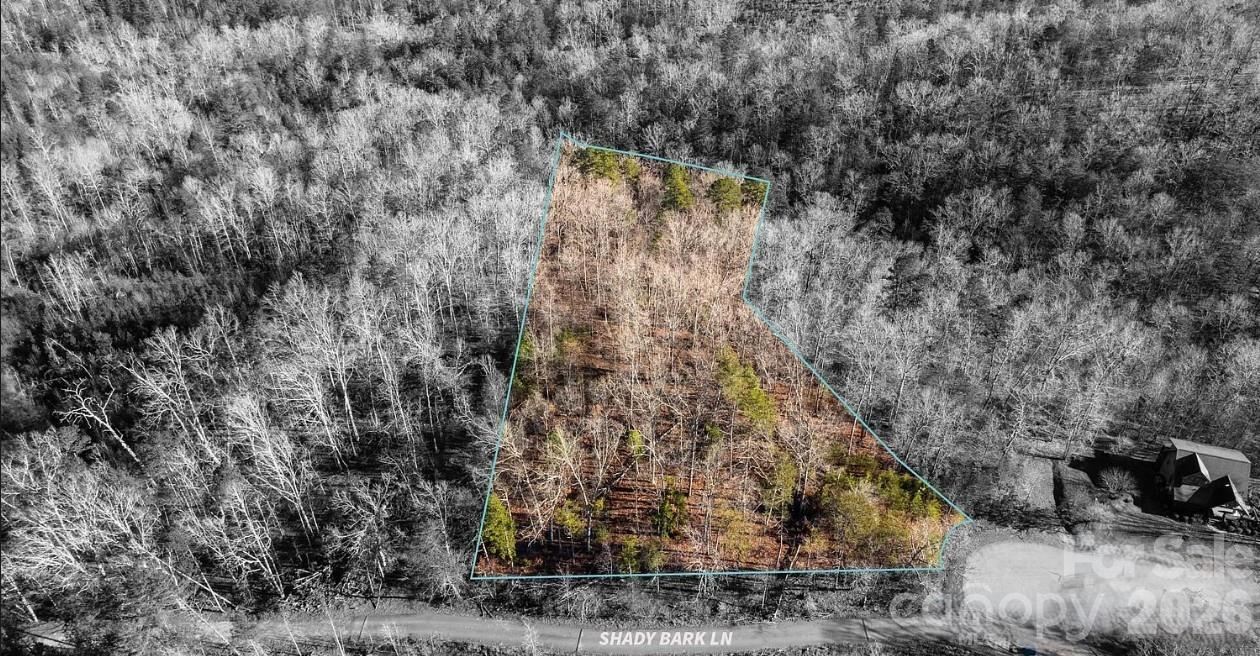 49 Shady Bark Lane Rutherfordton, NC 28139 - Photo 6 of 8