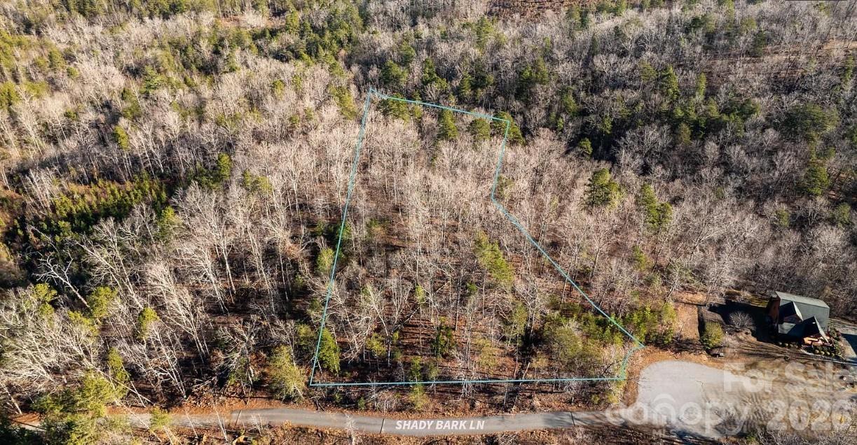 49 Shady Bark Lane Rutherfordton, NC 28139 - Photo 7 of 8