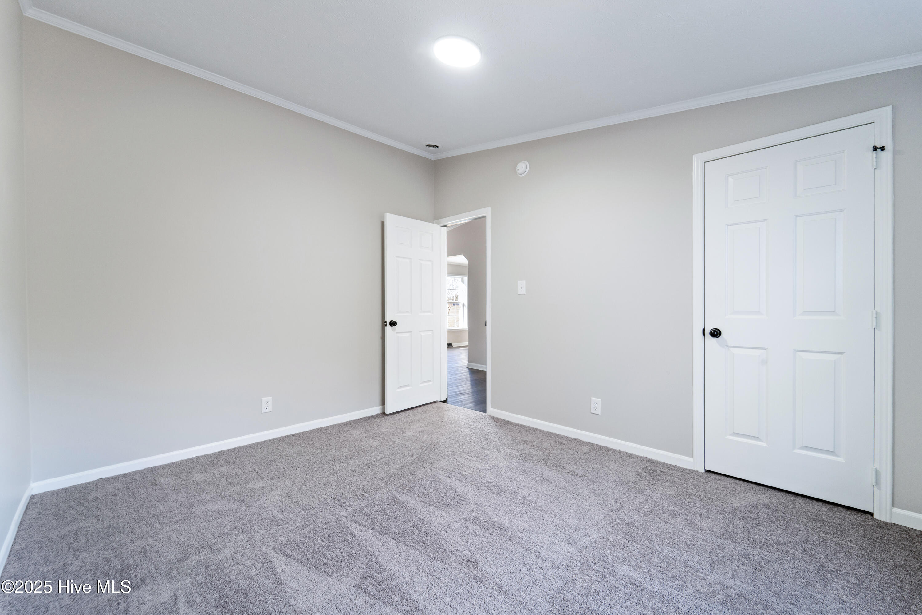 331 Dover Road Cove City, NC 28523 - Photo 26 of 35 DSC01600