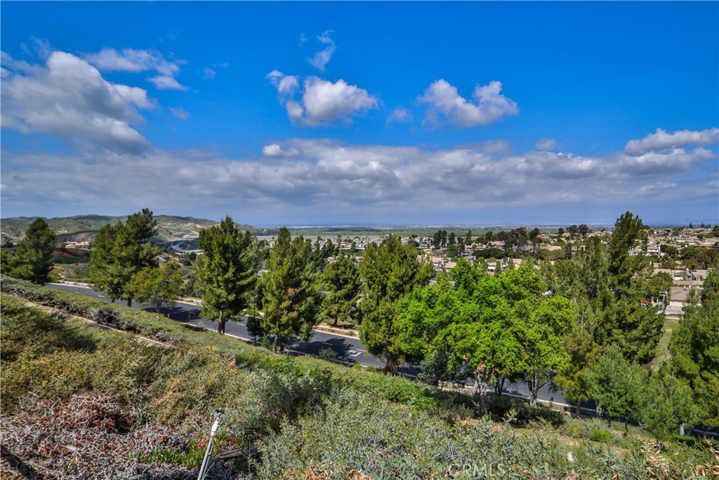 1412 San Clemente Circle Corona, CA 92882 - Photo 60 of 74