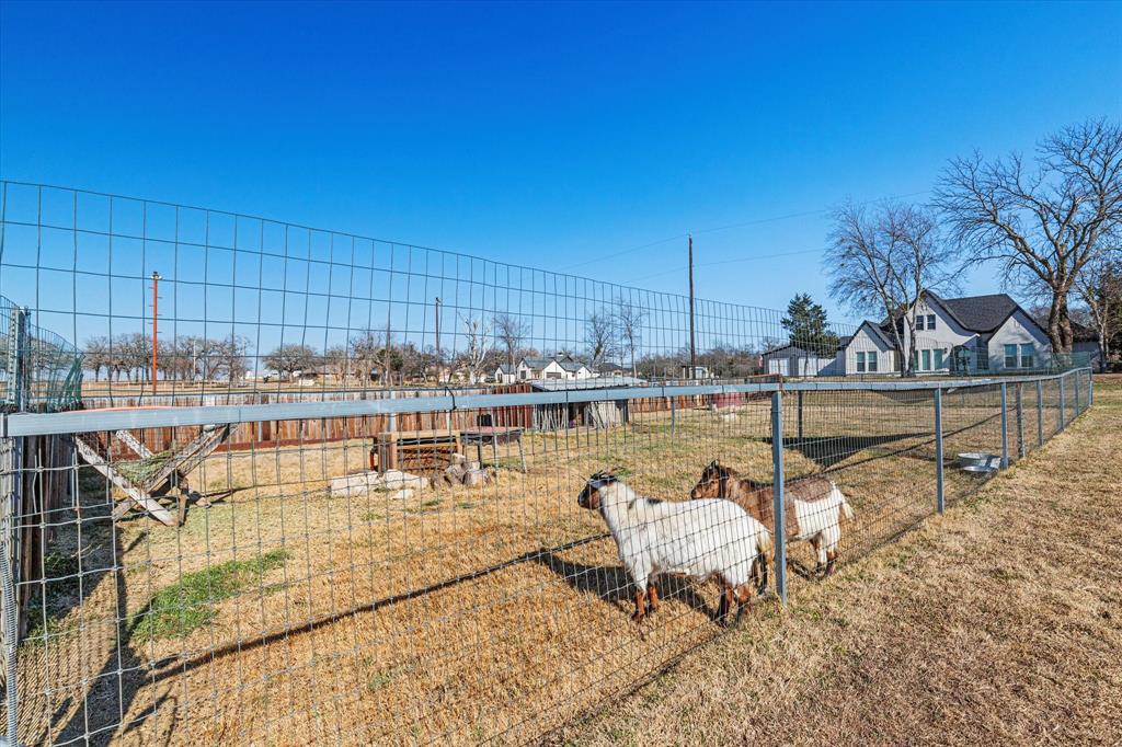 11975 Massey Road Pilot Point, TX 76258 - Photo 33 of 40