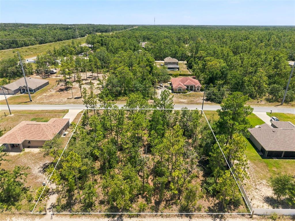 2 Ruffed Grouse Road Weeki Wachee, FL 34614 - Photo 4 of 11