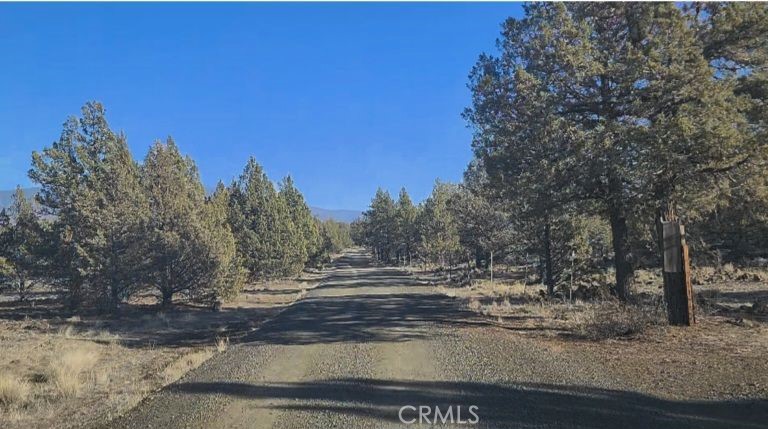 -99xx Big Springs Road Montague, CA 96064 - Photo 2 of 11 a view of a yard with trees