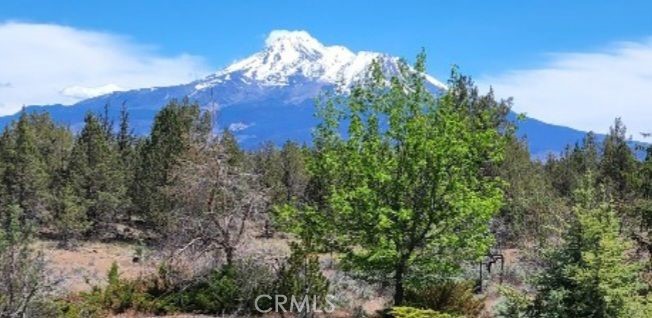 -99xx Big Springs Road Montague, CA 96064 - Photo 6 of 11 a view of a tree in a field of a house