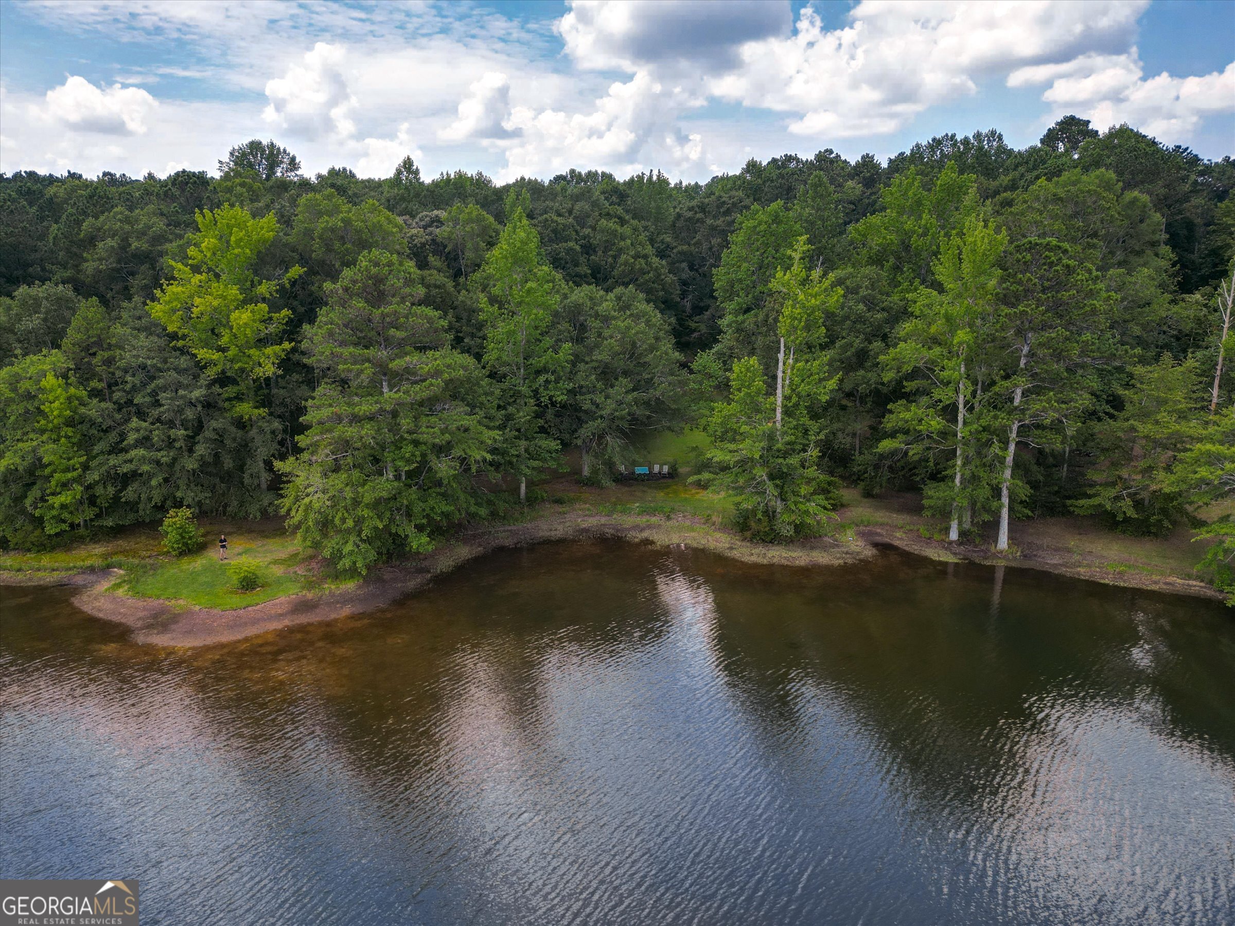 424 Hampton Road Hampton, GA 30228 - Photo 7 of 96