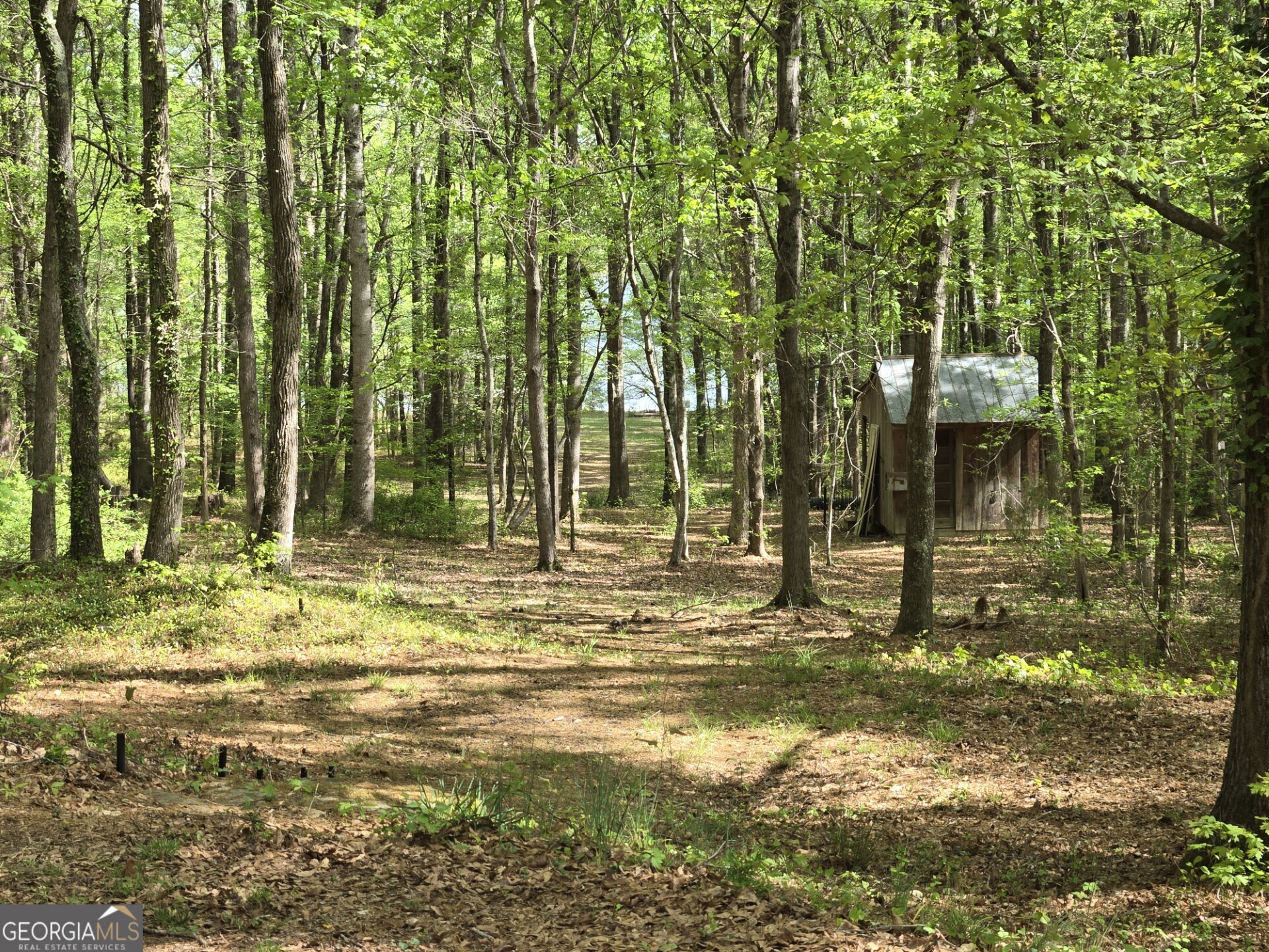 424 Hampton Road Hampton, GA 30228 - Photo 77 of 96