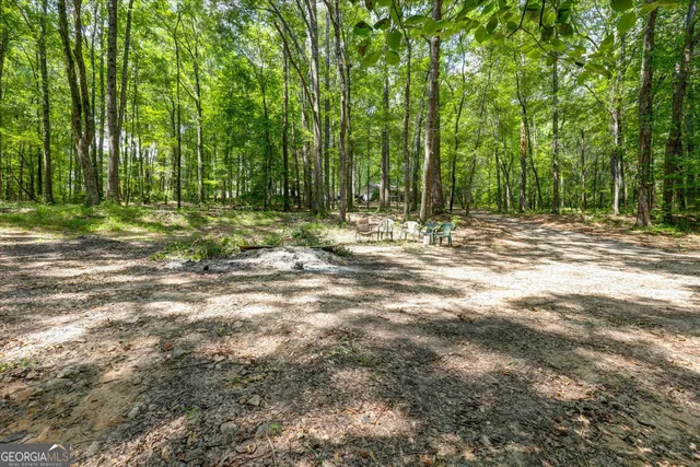 $725,000 | 424 Hampton Road, Hampton, GA 30228