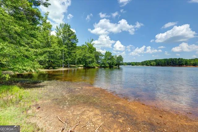 $725,000 | 424 Hampton Road, Hampton, GA 30228