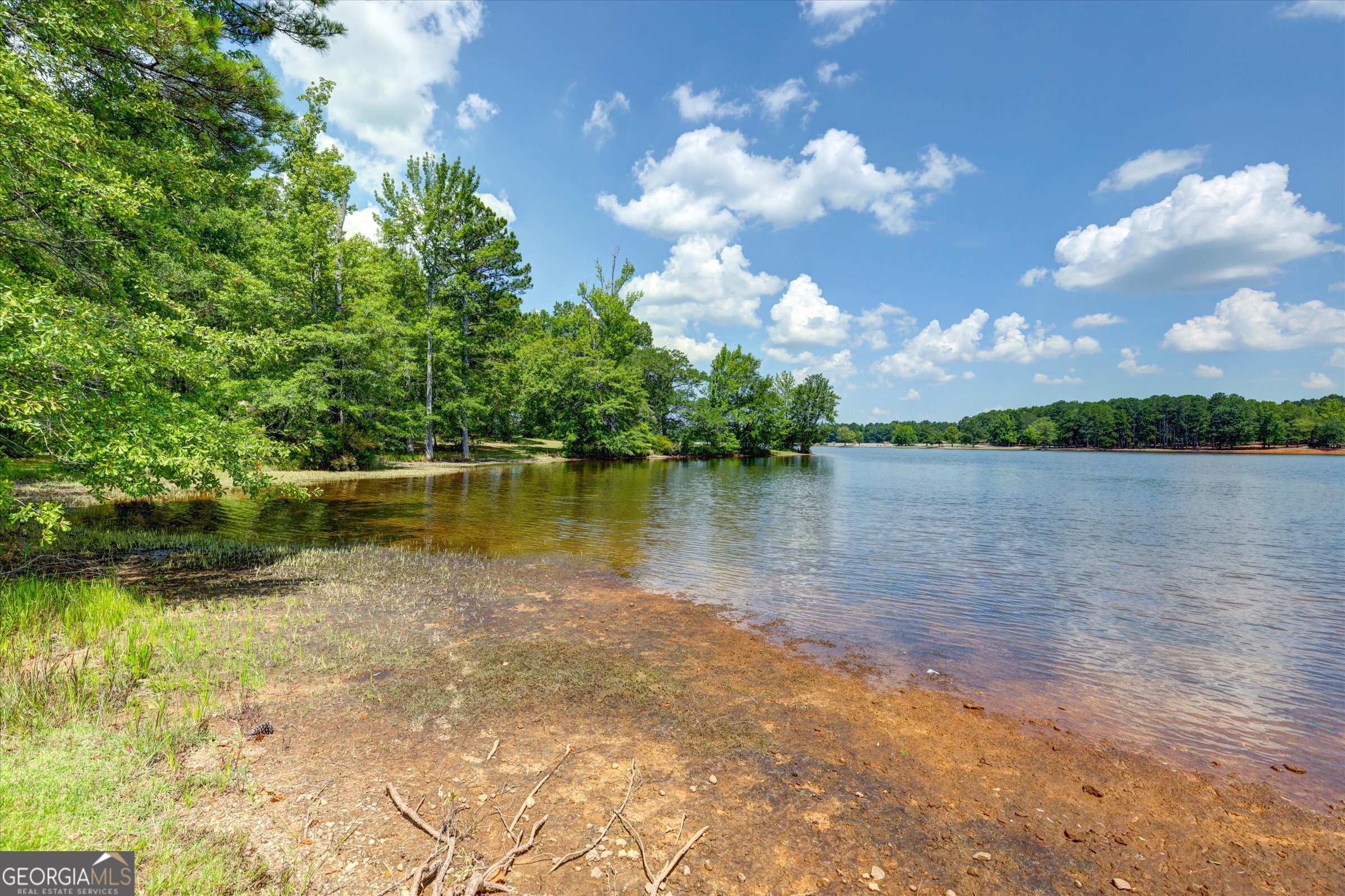 424 Hampton Road Hampton, GA 30228 - Photo 86 of 96