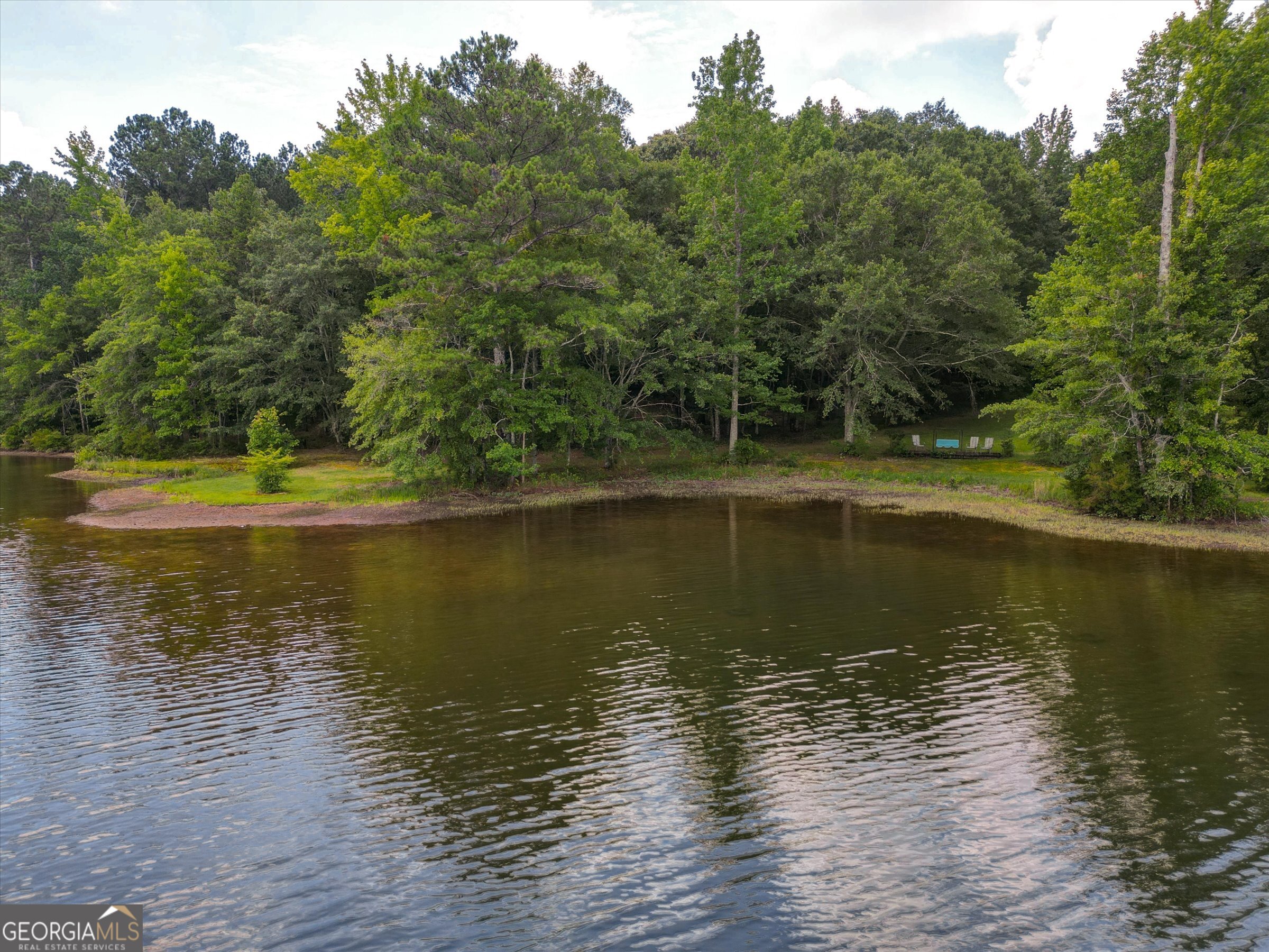 424 Hampton Road Hampton, GA 30228 - Photo 92 of 96 a view of a ocean view