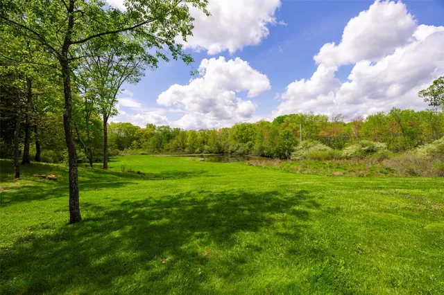 a view of a big yard with large trees