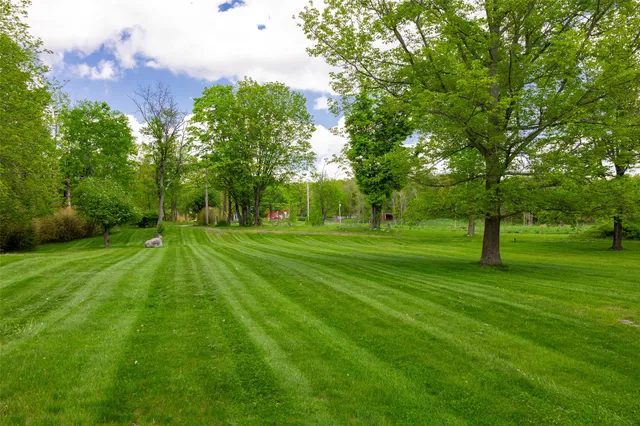a view of a park with large trees