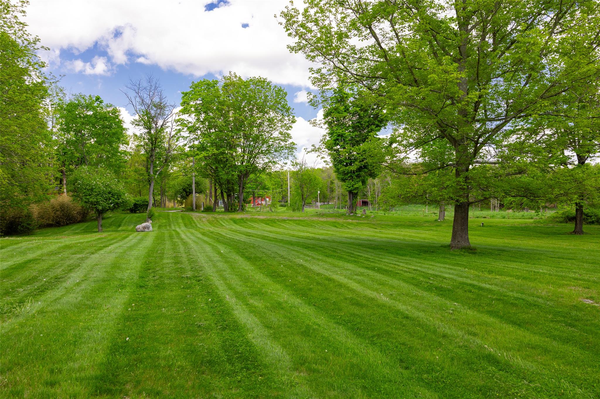 508 Woodstock Road Millbrook, NY 12545 - Photo 23 of 46 a view of a park with large trees