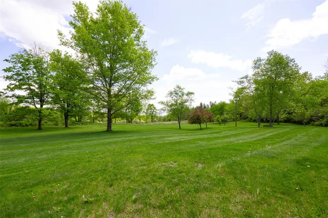 a grassy field with trees in the background