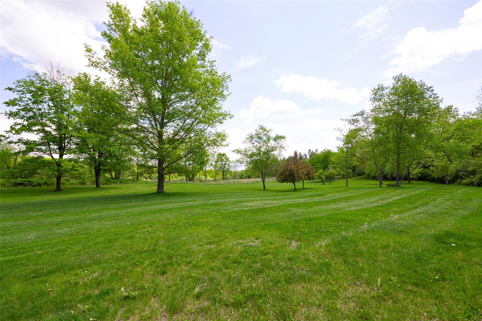 508 Woodstock Road Millbrook, NY 12545 - Photo 24 of 46 a grassy field with trees in the background