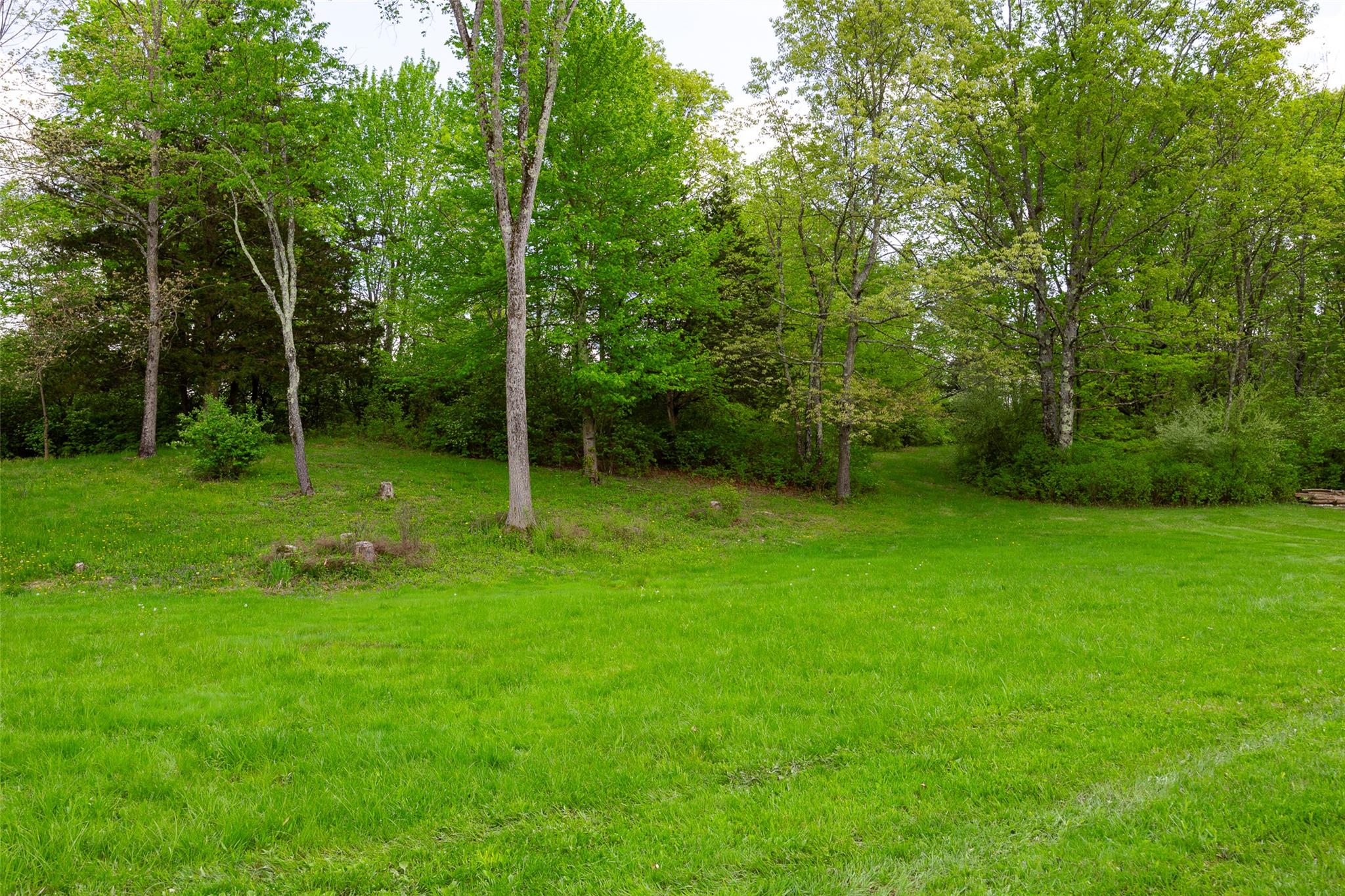 508 Woodstock Road Millbrook, NY 12545 - Photo 29 of 46 a view of a backyard with a garden