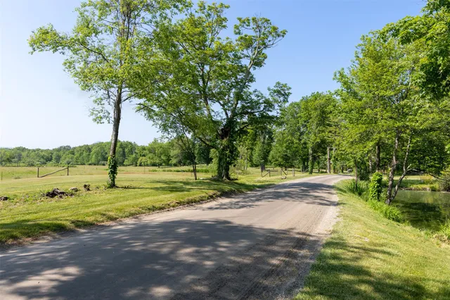 a view of a trees in a yard