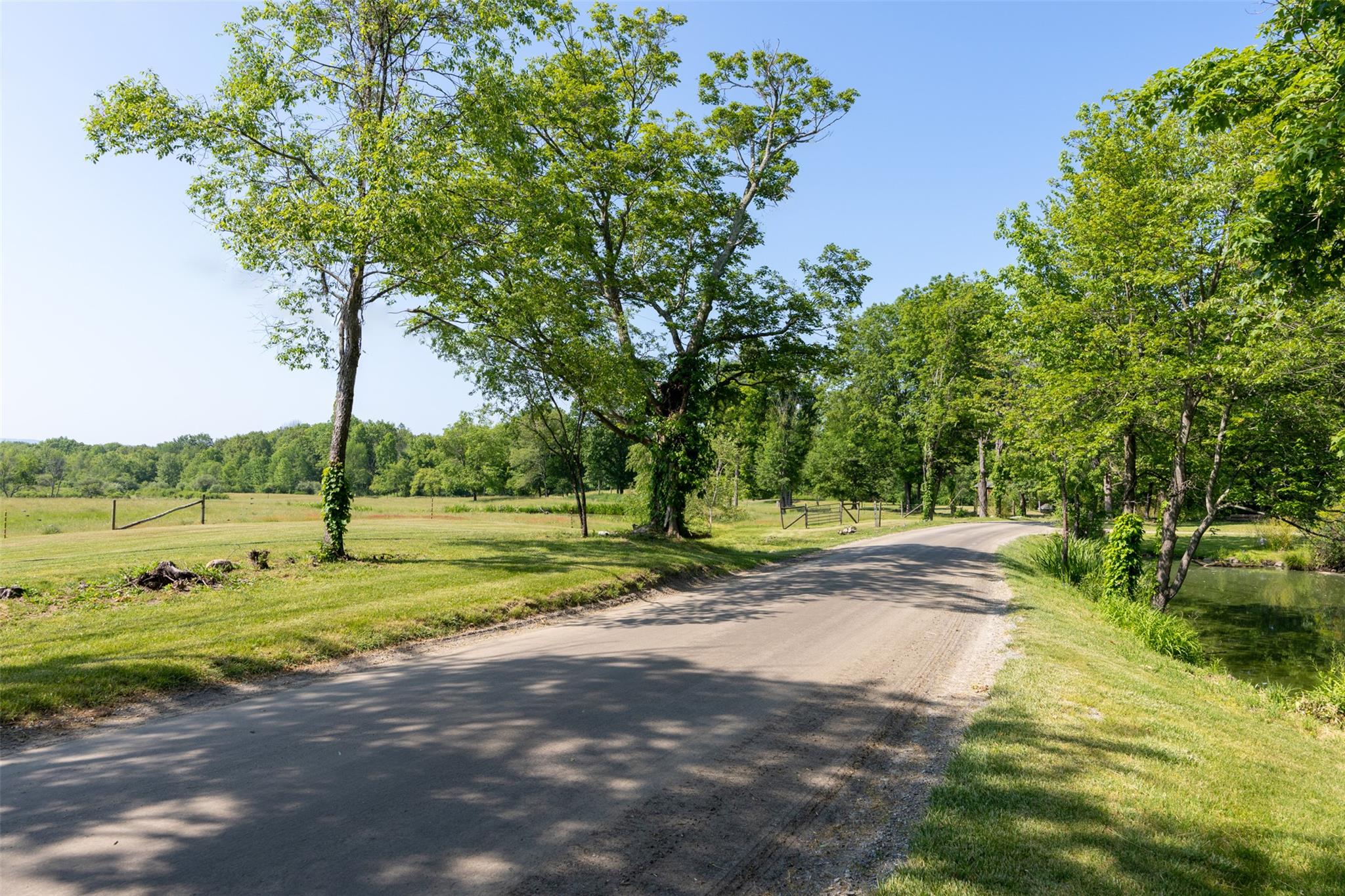 508 Woodstock Road Millbrook, NY 12545 - Photo 34 of 46 a view of a park with large trees