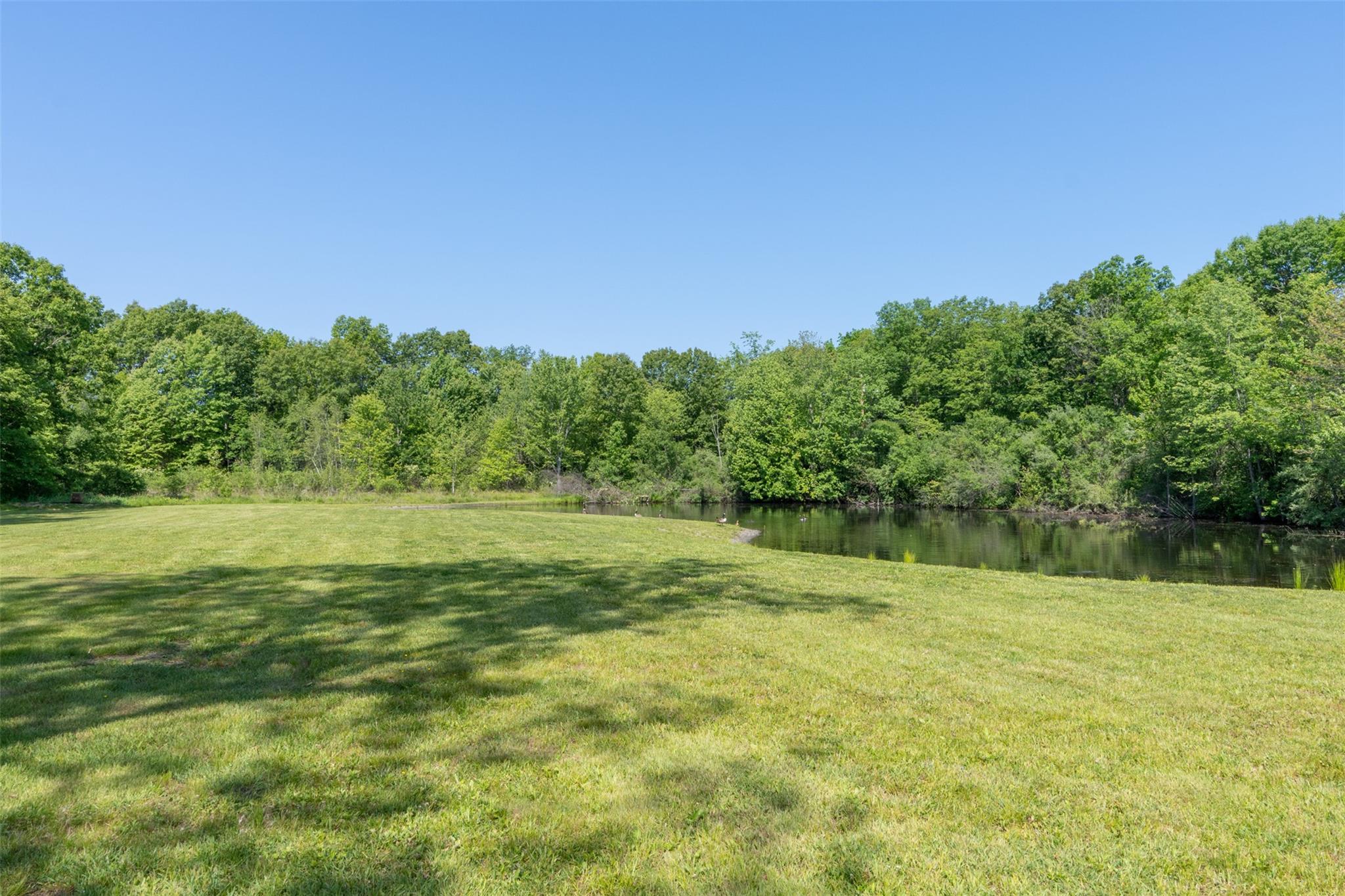508 Woodstock Road Millbrook, NY 12545 - Photo 36 of 46 a view of a field with a tree in the background