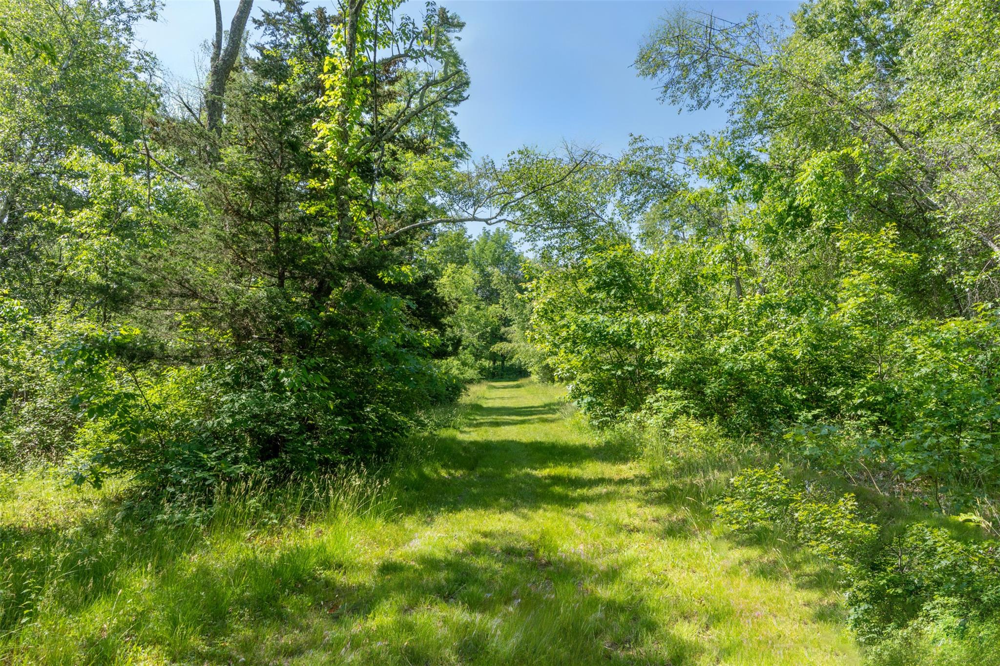508 Woodstock Road Millbrook, NY 12545 - Photo 40 of 46 a backyard of a house with lots of green space