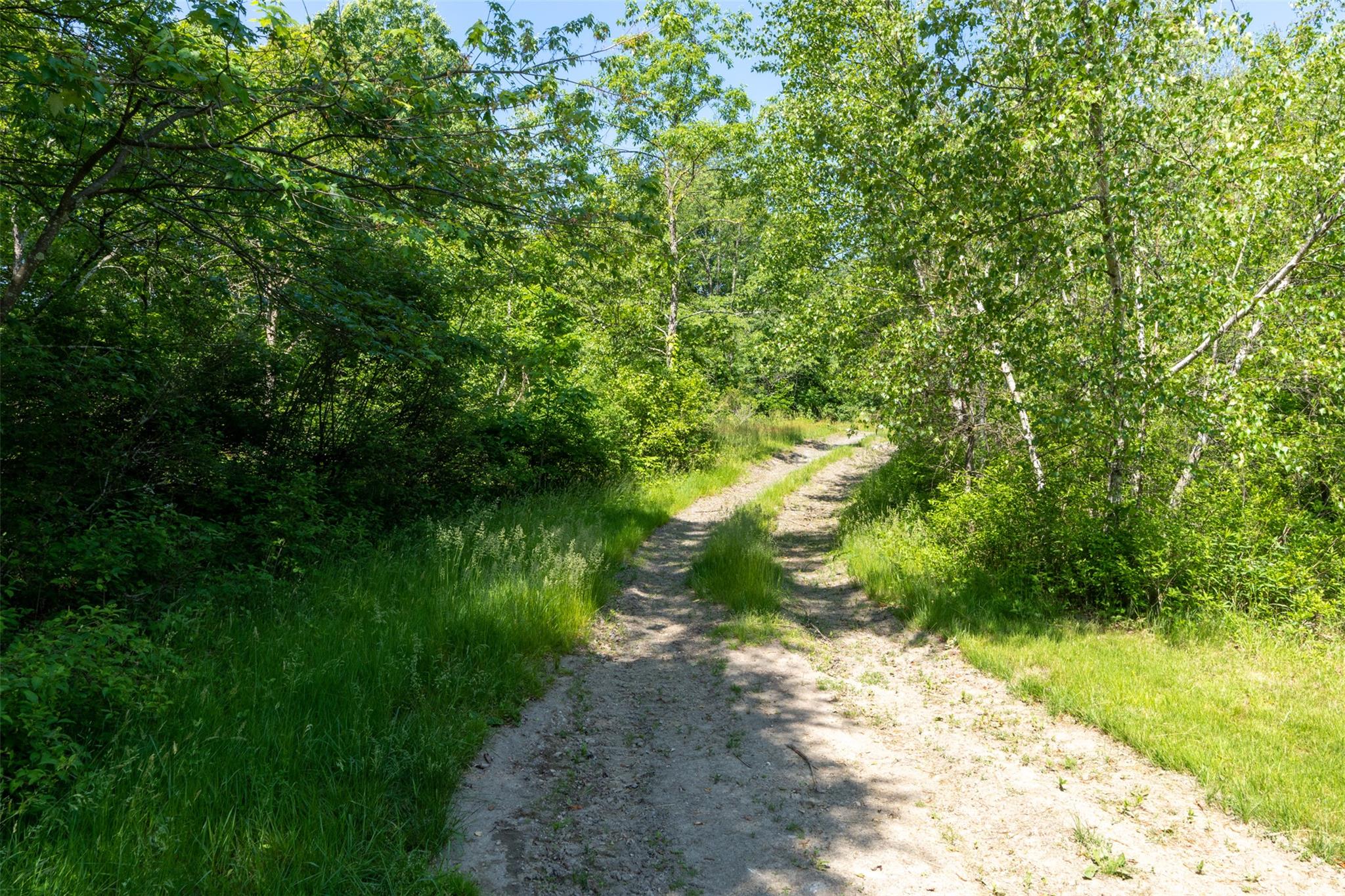 508 Woodstock Road Millbrook, NY 12545 - Photo 41 of 46 a view of a lake with a yard