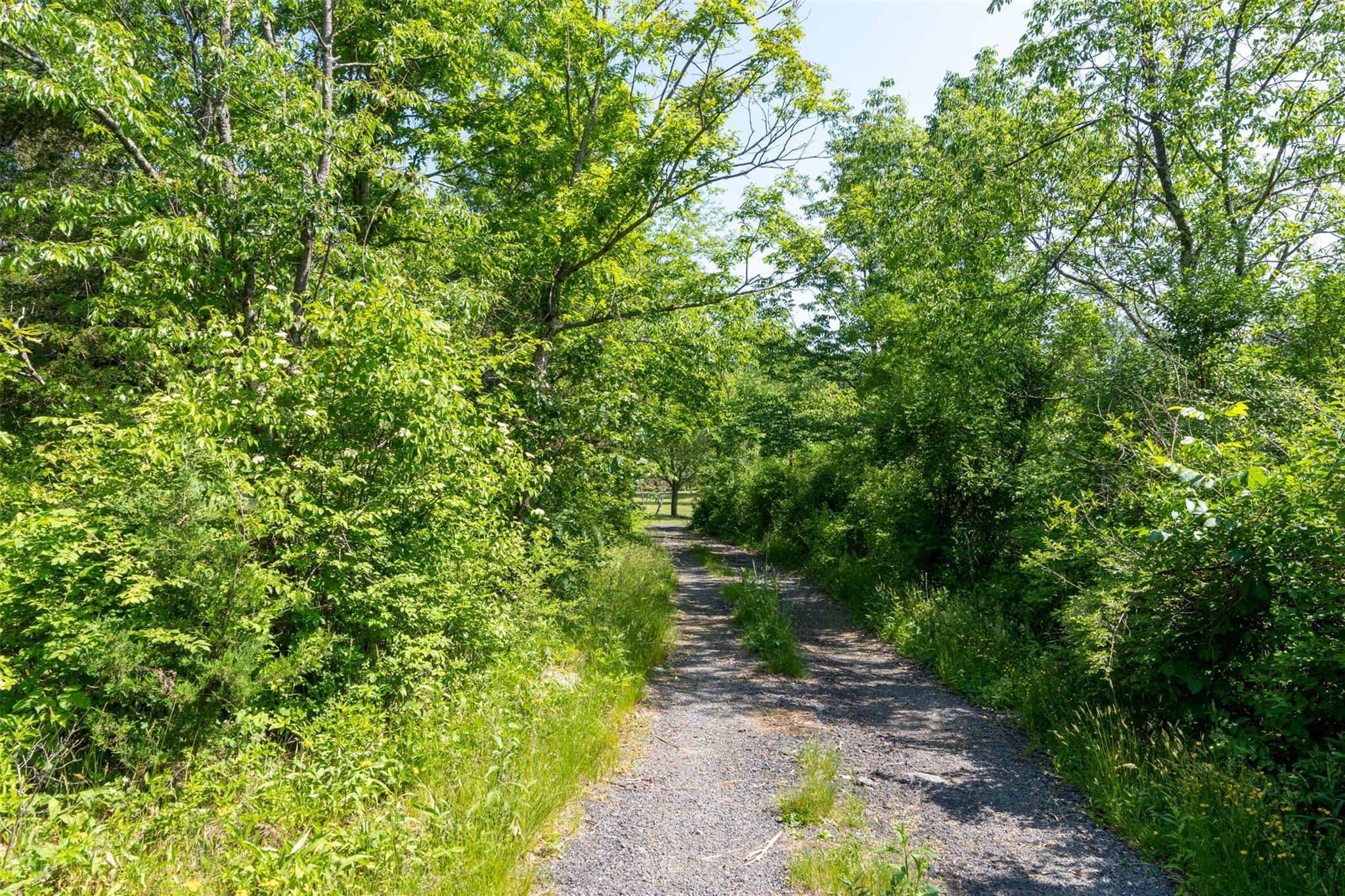 508 Woodstock Road Millbrook, NY 12545 - Photo 42 of 46 a view of a garden with plants