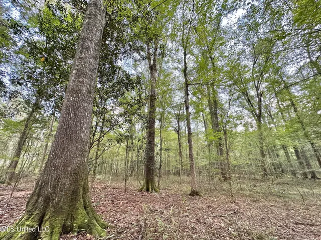$125,000 | 1 Highway 469 South, Harrisville, MS 39082