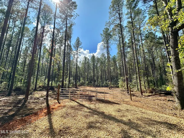 $125,000 | 1 Highway 469 South, Harrisville, MS 39082