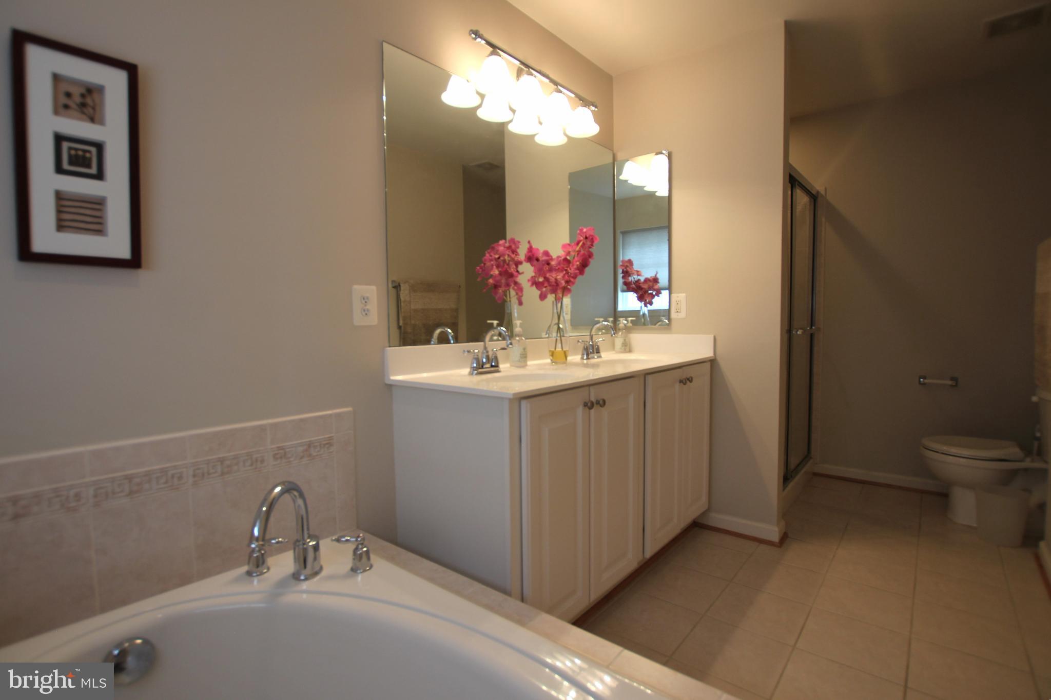 8532 Barrow Furnace Lane Lorton, VA 22079 - Photo 19 of 33 a bathroom with a sink and a mirror
