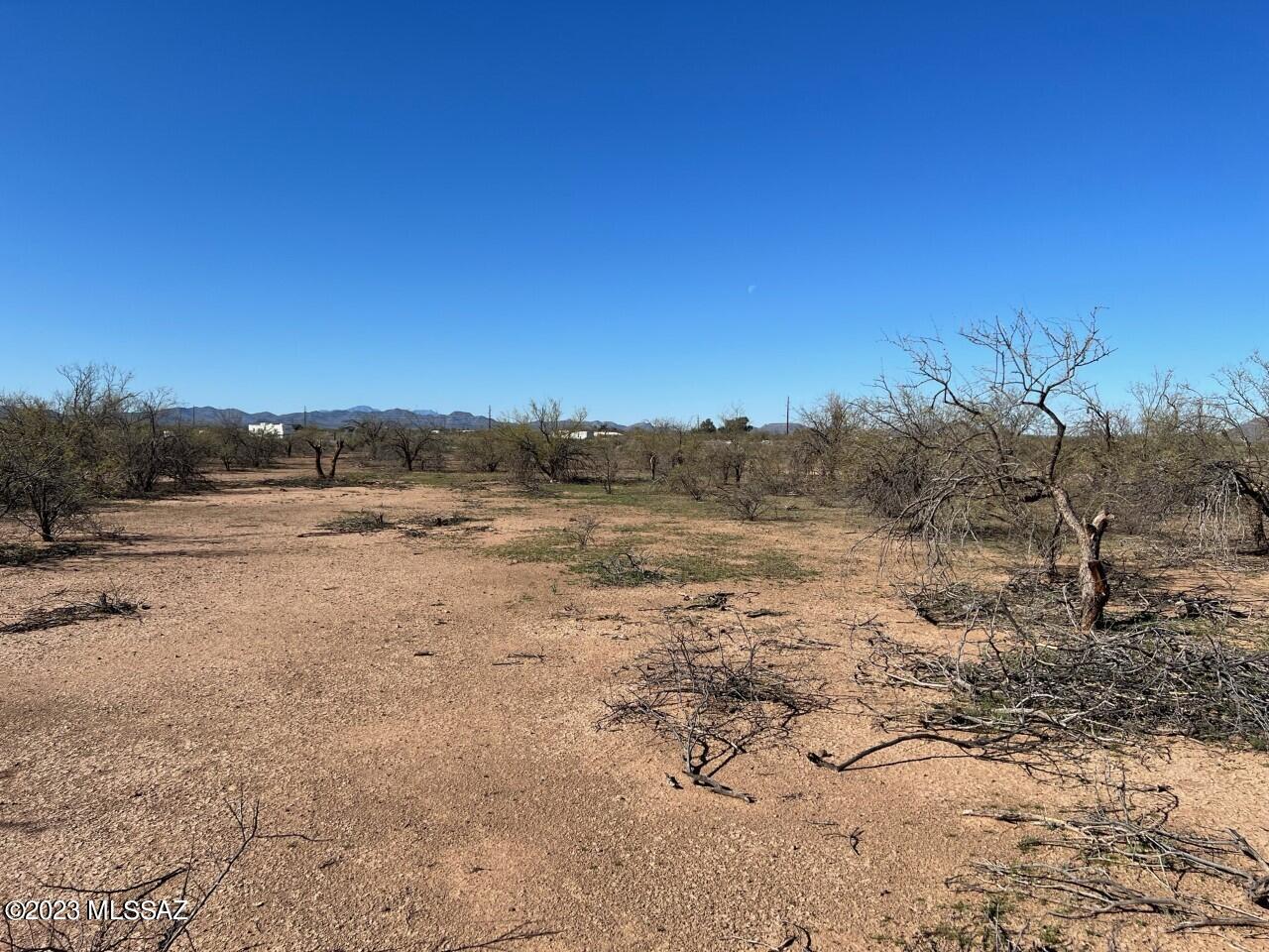 Tbd Tbd Cherry Blossom Road Marana, AZ 85653 - Photo 2 of 9 Scrub brush 2