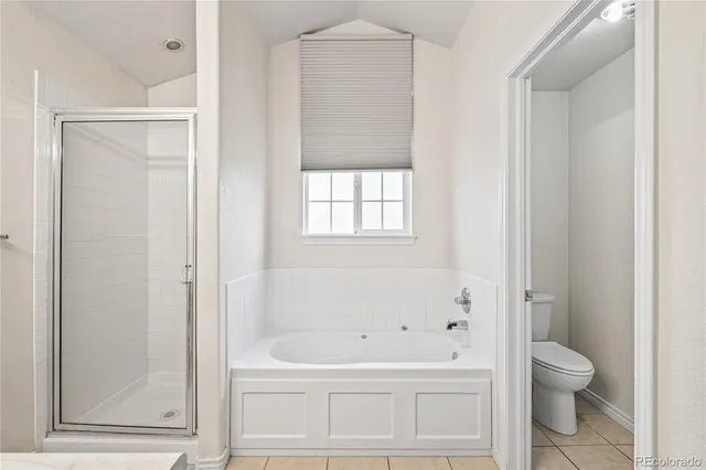 a bathroom with a bathtub and a toilet