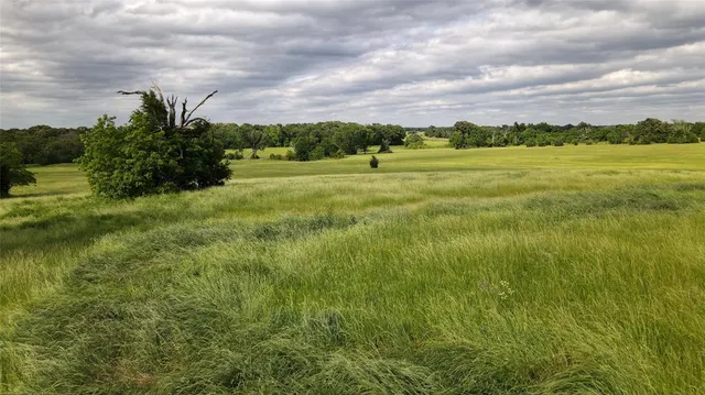 $960,000 | 0 County Road 471, Montalba, TX 75853