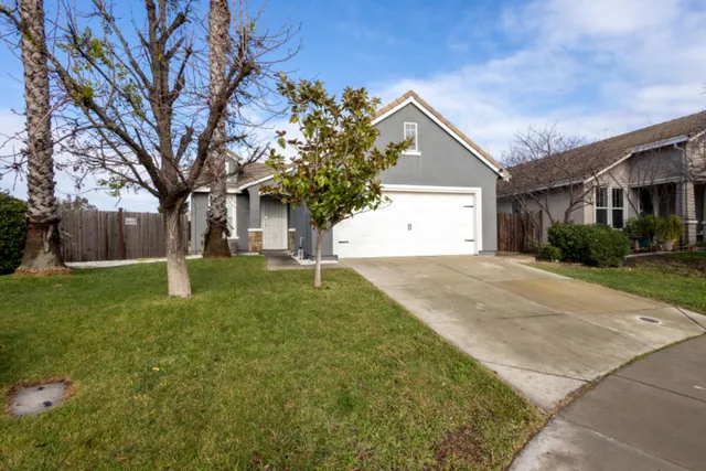 a backyard of a house with plants and large tree