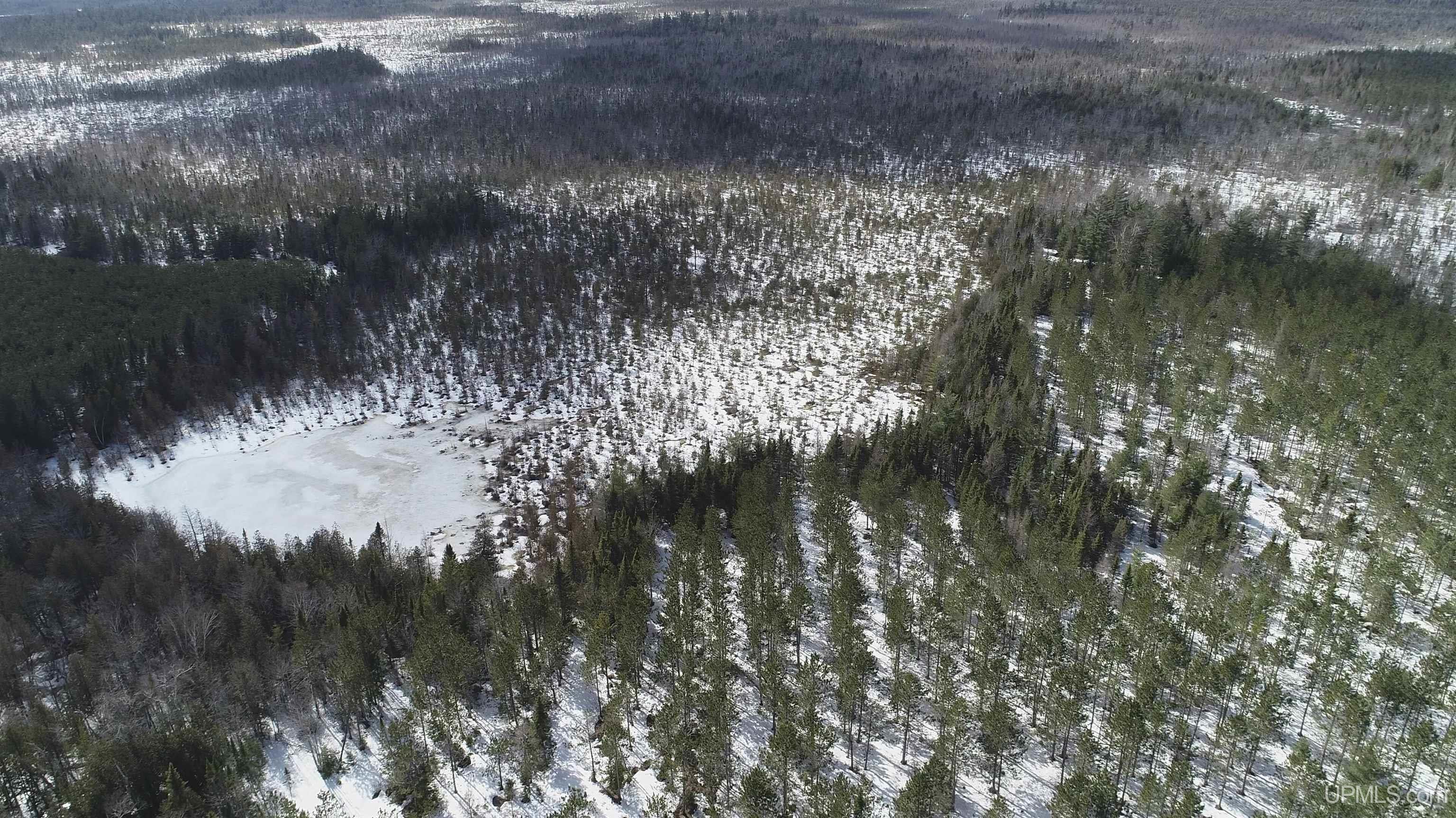 20-acres Off Flodin Road Manistique, MI 49854 - Photo 23 of 29